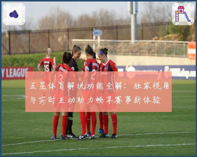 五星体育解说功能全解：独家视角与实时互动助力畅享赛事新体验