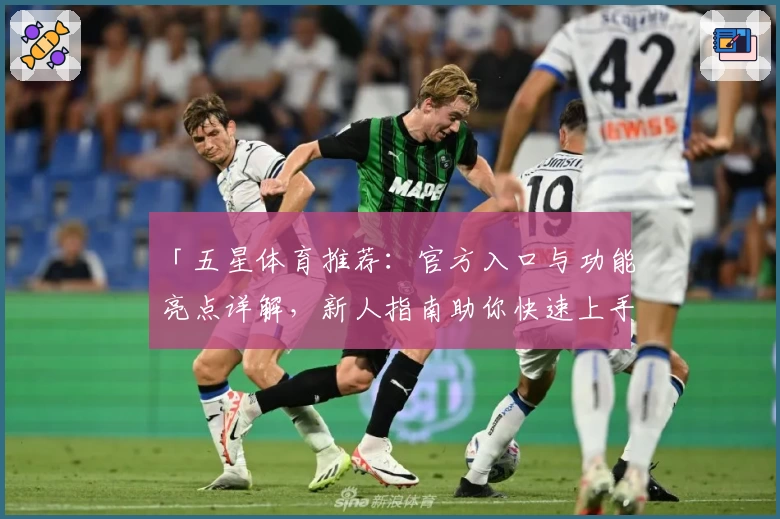 「五星体育推荐：官方入口与功能亮点详解，新人指南助你快速上手」
