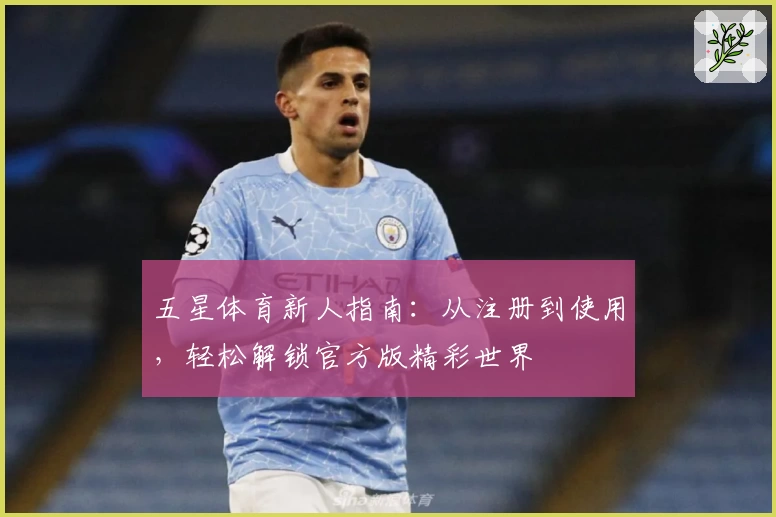 五星体育新人指南:从注册到使用,轻松解锁官方版精彩世界