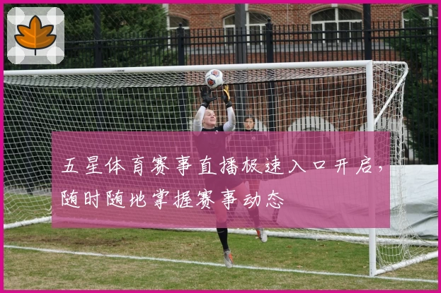 五星体育赛事直播极速入口开启，随时随地掌握赛事动态