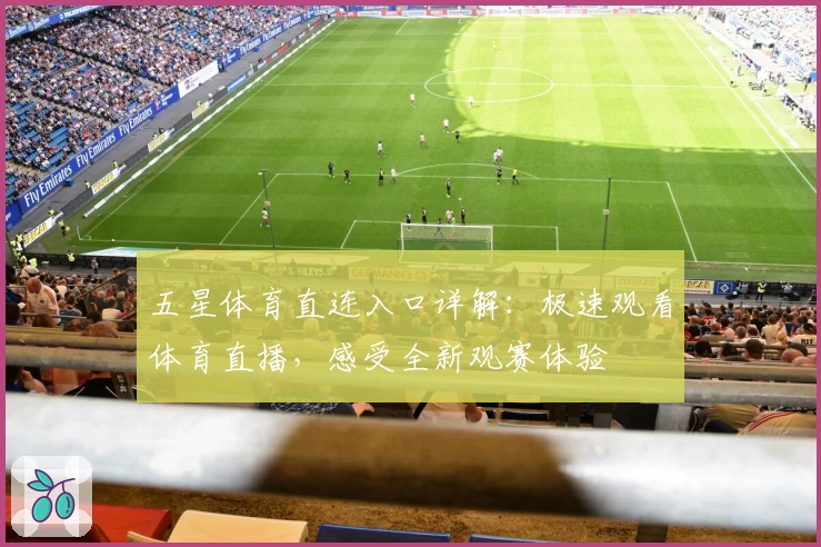 五星体育直连入口详解：极速观看体育直播，感受全新观赛体验